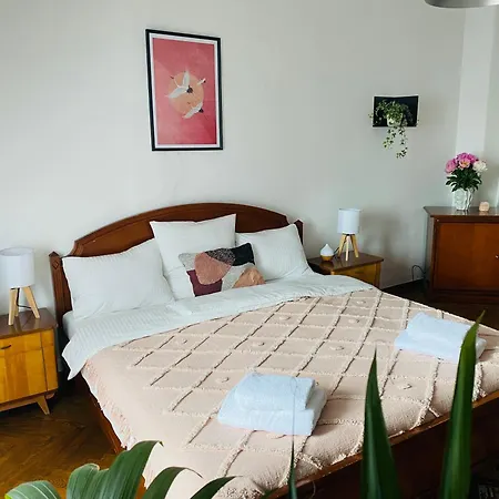 Serenity ゲストハウス *